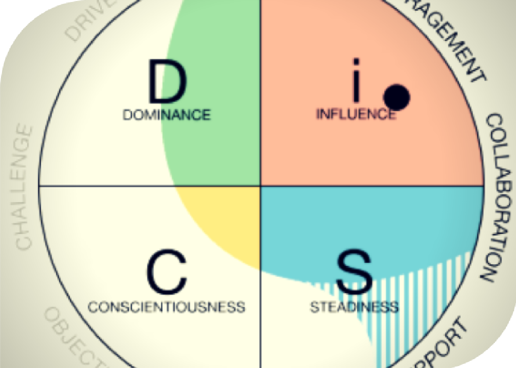 DiSC Profiles People Development Australia